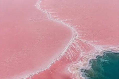 Pink Salt Lake from Above