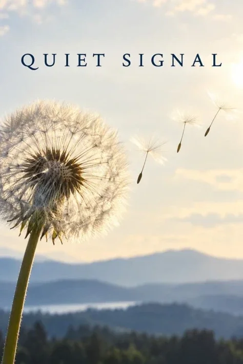 A Glimmer from Dandelion Radio