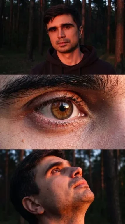 Sunset Forest Phone Triptych