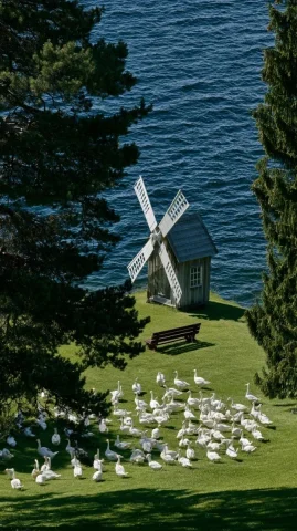 Lakeside Windmill Cabin With Snow Geese — Nano Banana 2 AI Prompt: High-angle vertical shot, idyllic lakeside scenery, tiny vintage wooden windmill...