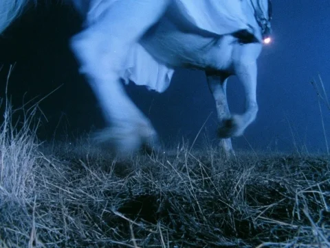 Midjourney Top Concept Art #47 — Midjourney v6 AI Prompt: low angle shot at grass level, white horse legs and hooves moving through dry de...