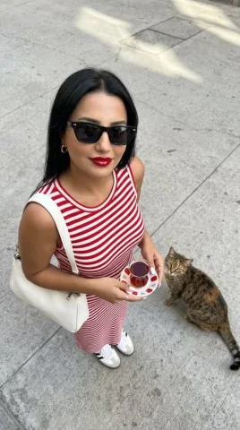 Istanbul Cat Street Style — Nano Banana 2 AI Prompt: { "prompt": "A high-angle overhead ultra-photorealistic fashion photo of a styli...