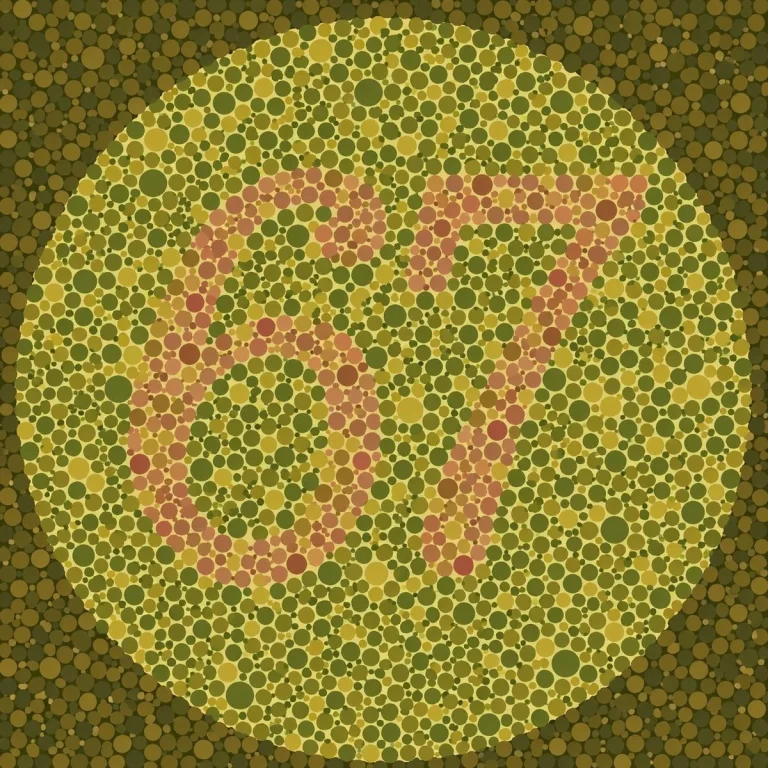 Ishihara Color Blindness Test Plate