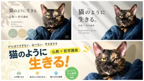 Banner Design Variations — Nano Banana 2 AI Prompt: { "type": "banner design variations", "subject": "tortoiseshell cat wrapped in a...