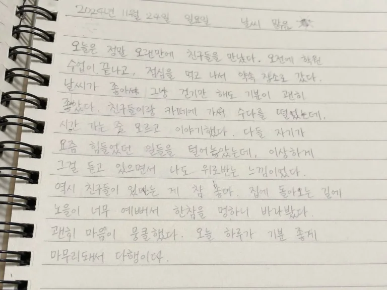 Handwritten Korean Diary