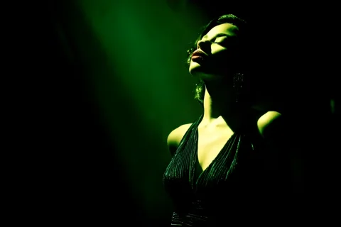 Noir Spotlight Mystery Drama — Nano Banana 2 AI Prompt: [SUBJECT] caught in a Film Noir Spotlight. The scene is dominated by shadows, wi...