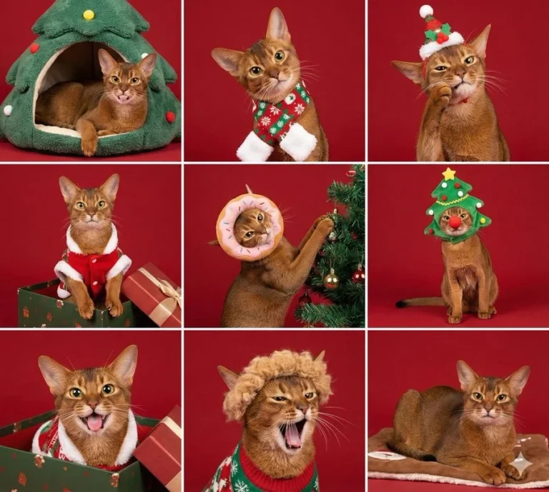 Generate An Image With A Christmas Red Background, Using A 3X3 Gr