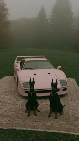 Pink Ferrari — Nano Banana 2 AI Prompt: A pastel pink Ferrari F40 parked on an ornate Persian carpet in the middle of a...
