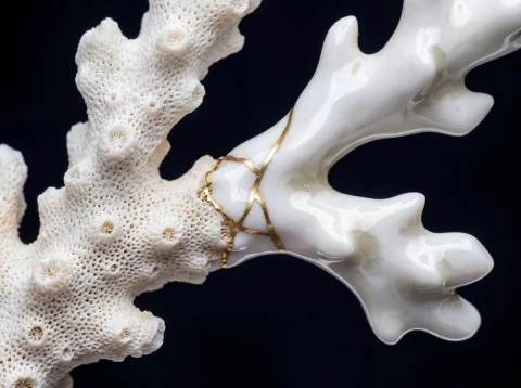 Organic to Synthetic: Extreme Macro Transition in Nature — Nano Banana 2 AI Prompt: Extreme macro photograph of [ORGANIC SUBJECT] where [NATURAL FEATURE] transition...