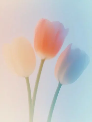 Minimalist Tulips in Vector — Midjourney v6 AI Prompt: vector art,Three tulips,, minimalism, soft lighting, warm tones, clean lines, ro...