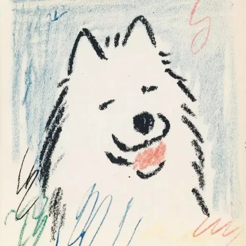 Hand-Drawn Samoyed Close-Up — Midjourney v6 AI Prompt: a hand-drawn close-up of a happy Samoyed --sref 2252558232 --sv 4 --sw 900 --v 7...