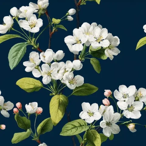 Botanical Blossom on Blue — Midjourney v6 AI Prompt: blossom illustration in style of 18th century botanical illustration on dark blu...