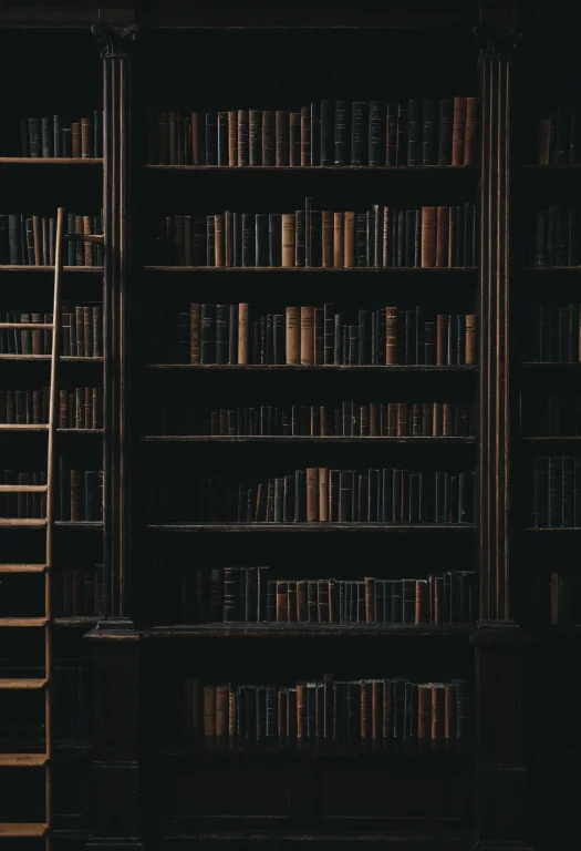 Loradark University Aesthetic0.0,dark Asdxohnxs. A Book Shel...