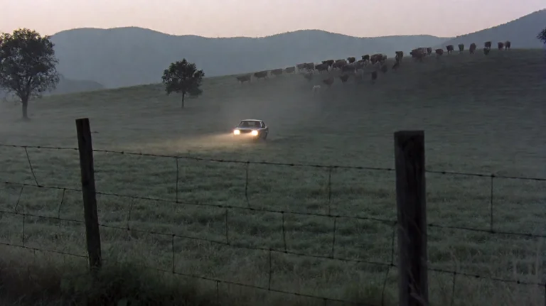 Hnnbl2001, A Lone Car With Headlights On Navigates A Misty,...