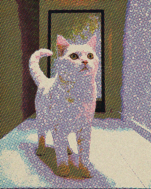 Photograph A Cream-colored Cat Standing In A Minimal Interio...