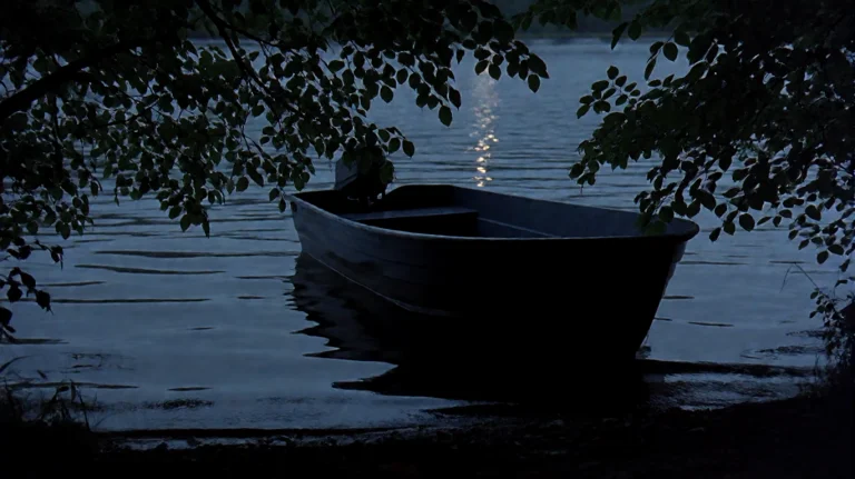 Hnnbl2001, A Small, Dark Motorboat Rests Motionless On Calm,...
