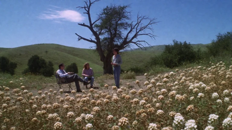 Dnndrk2001, In A Sun-drenched, Wildflower-strewn Clearing, A...
