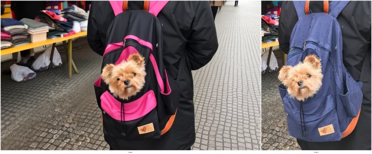 Use Picture 1 As A Reference. Picture 1 Shows A Dog In A Bac...