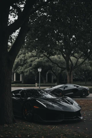 Loradark Cinematography20.0,asdxohnxs. 50mm Lens Cinematic,... — SDXL AI Prompt: ,asdxohnxs. 50mm lens cinematic, ,dark asdxohnxs. reading under a tree, dark uni...