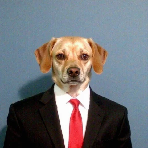 V8s, Amateur Quality, Low Resolution, N0k1a A Light Tan Dog... — FLUX AI Prompt: v8s, amateur quality, low resolution, n0k1a A light tan dog with floppy ears and...