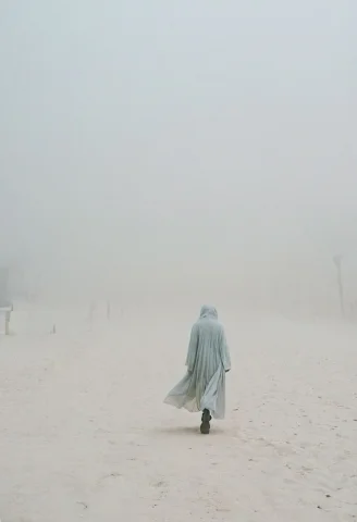 Best Quality ,burqaaward Winning, Fog, Aesthetic Of With Se... — SDXL AI Prompt: (best quality ) ,(burqaaward winning, fog, (aesthetic of with serenity atmospher...