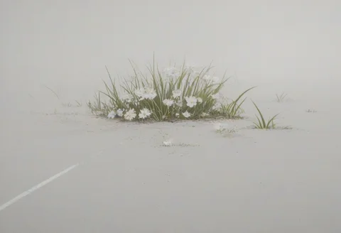 Surreal Aesthetic White Scenery Free — Stable Diffusion AI Prompt: masterpiece, best quality,scenery, very aesthetic, score_7,masterpiece, surreal,...