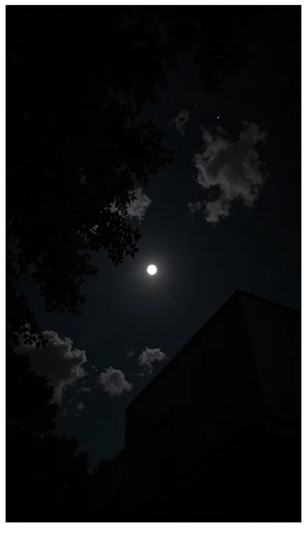 Surrounding Darkness, Caughtbylight Dark, A Realistic Night...