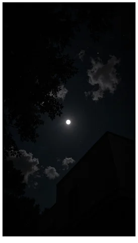 Surrounding Darkness, Caughtbylight Dark, A Realistic Night... — Stable Diffusion AI Prompt: Surrounding darkness, Caught_by_Light dark, A realistic night photograph viewed...