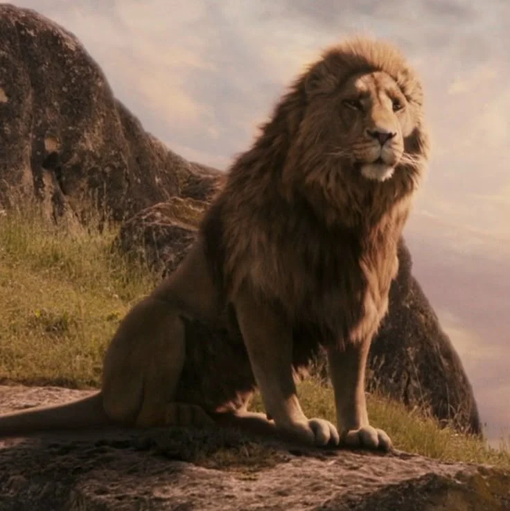 King Aslan