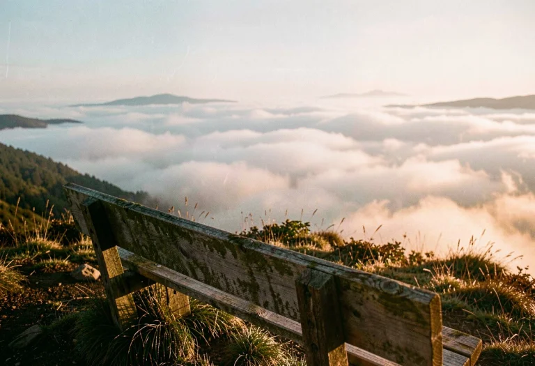 A Hilltop Bench Overlooking A Sea Of Fog, Cinematic Photogra...