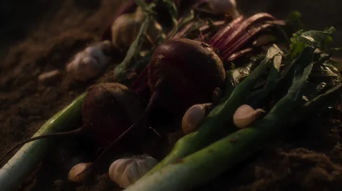 Hwgrnchstl2000, A Close-up Shot Reveals A Pile Of Decaying P... — Stable Diffusion AI Prompt: hwgrnchstl2000, A close-up shot reveals a pile of decaying produce, including da...