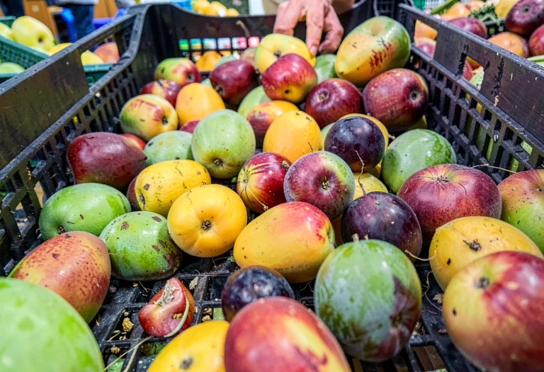 A Market Crate Spilling Ripe Summer Fruit, Raw Photo, Worms...