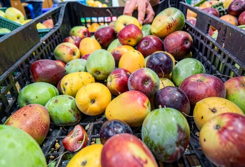 A Market Crate Spilling Ripe Summer Fruit, Raw Photo, Worms... — Stable Diffusion AI Prompt: a market crate spilling ripe summer fruit, raw photo, worms eye view, highly det...