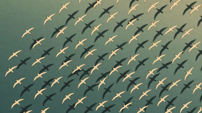 Rdtrtl2016, A Vast Flock Of Birds, Likely Gulls Or Terns, So...