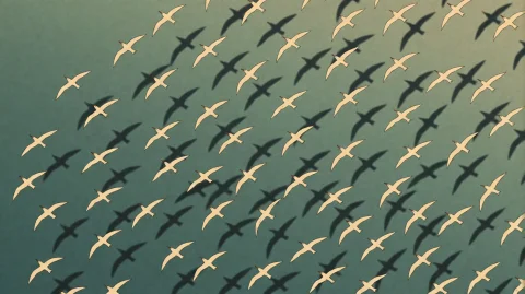 Rdtrtl2016, A Vast Flock Of Birds, Likely Gulls Or Terns, So... — Stable Diffusion AI Prompt: rdtrtl2016, A vast flock of birds, likely gulls or terns, soars in synchronized...