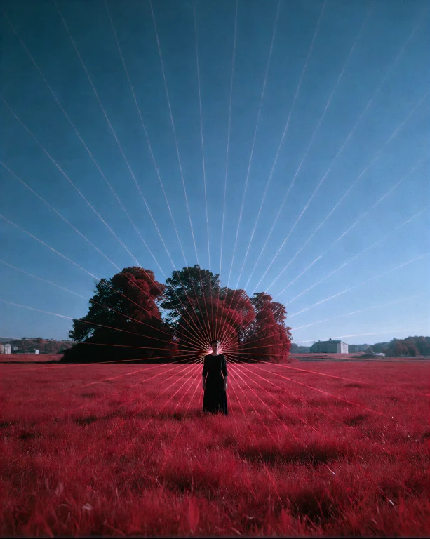 Dcc3ldyns. A Silhouetted Figure Stands In A Vast Field Of De...