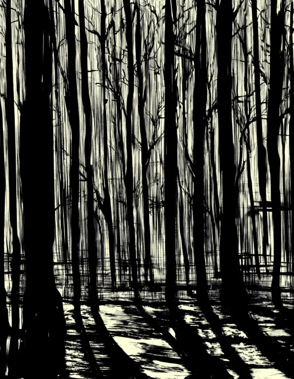 Sumi-e, Brush Stroke, Calligraphy Brush Medium, Nature, Scen...