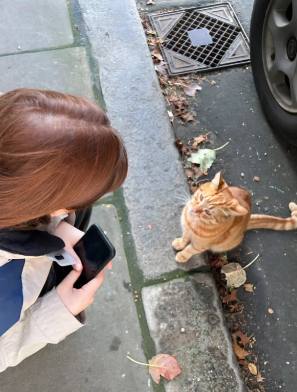 Candidsnap, R3alism, A High-angle, Outdoor Shot Captures A P...