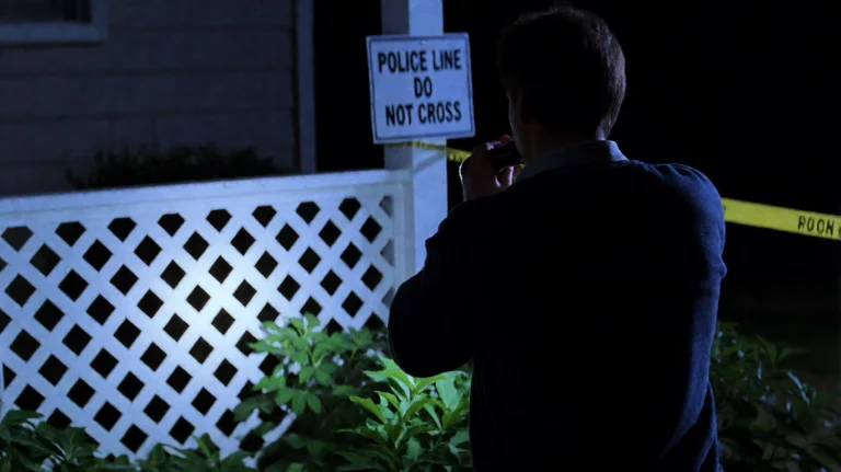 Rddrgn2002, A Person, Seen From Behind, Holds A Flashlight A...