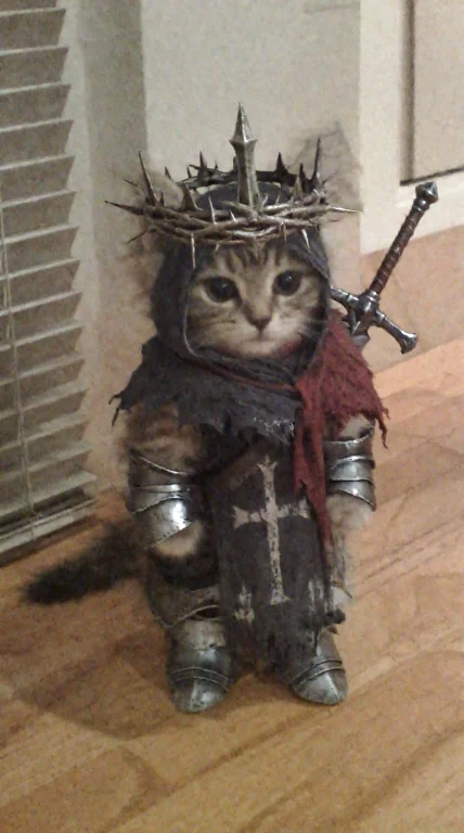 A Candid Indoor Snapshot Of A Small Fluffy Kitten Standing U...