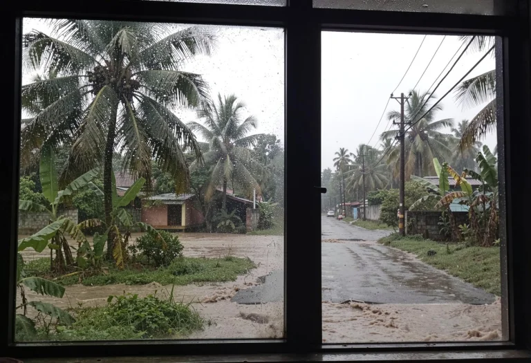 A Photograph Of A Sad Rainy Day Outside The Window, The Road...