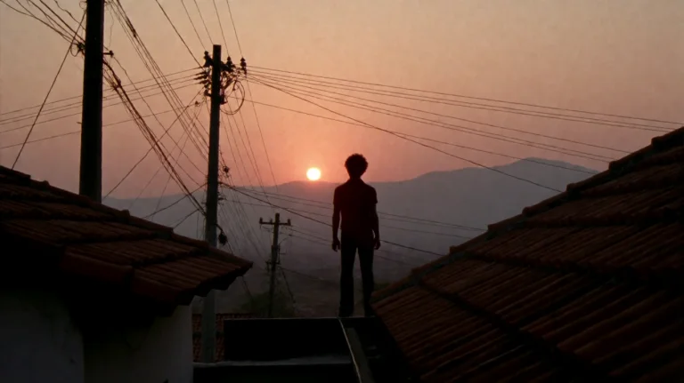 Ctygd2002, A Solitary Figure Stands Silhouetted On A Rooftop...
