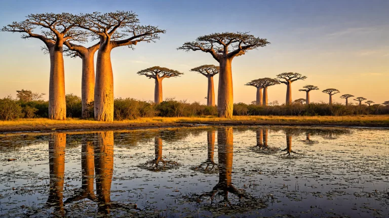Transform The Provided Image Into An Authentic National Geog...