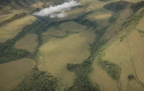 Rural Peru, Iconic Andean Countryside, Contemporary South Am... — Stable Diffusion AI Prompt: Rural Peru, iconic Andean countryside, contemporary South American rural atmosph...