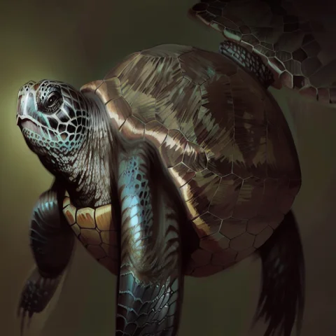 Turtle, Flonixapterus, Flonixmatyukhinft — Stable Diffusion AI Prompt: turtle, FlonixApterus, FlonixMatyukhinft