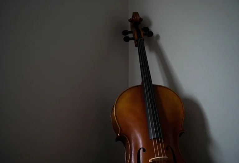 A Cello Leaning In The Corner Of A Quiet Room, Melancholic M...
