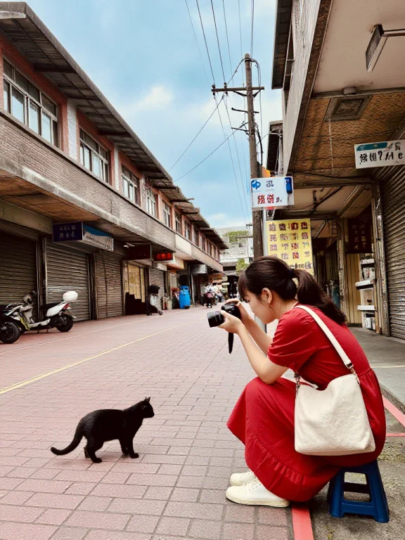 A Black Cat Near Her, Jiufen, Road, Realistic, 1girl, Solo,...