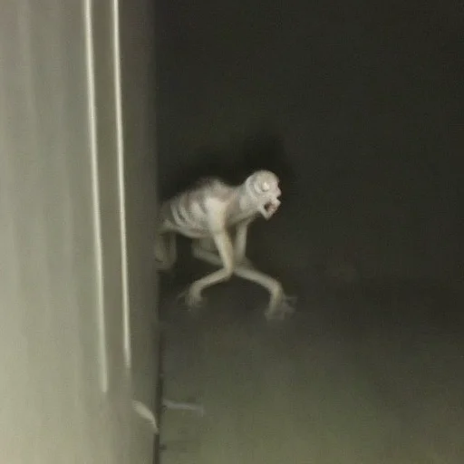 Empty Shool Building At Night,cockroach Like Humanoid Creatu...