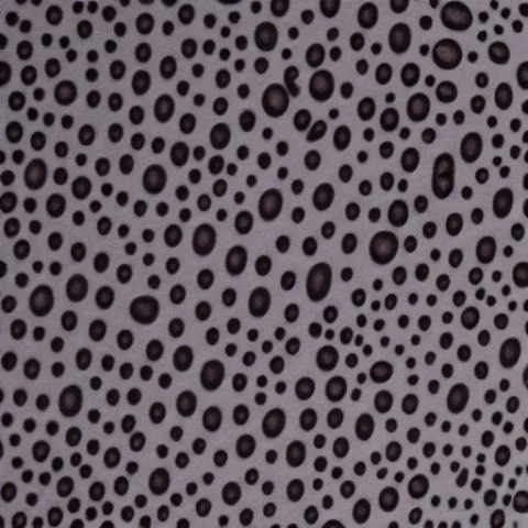 Trypophobia Dog — Stable Diffusion AI Prompt: trypophobia dog