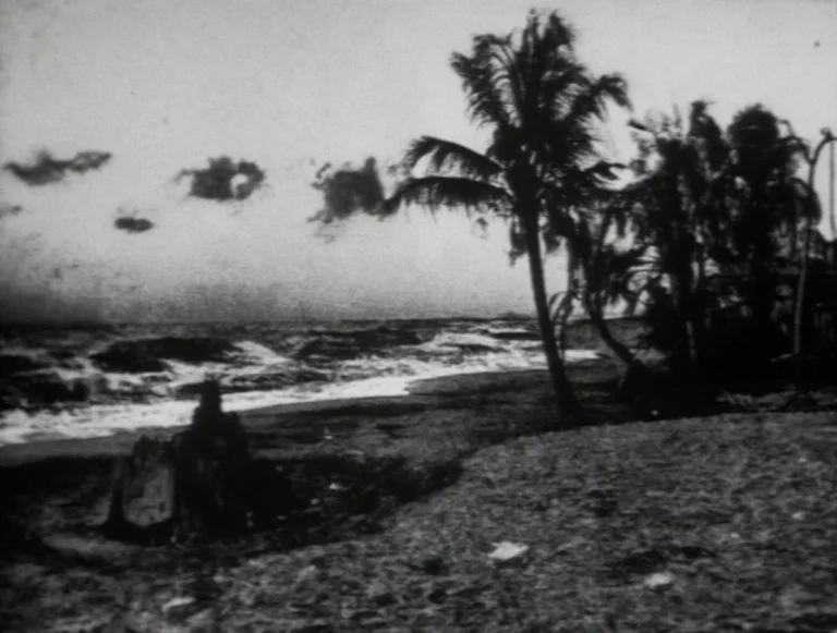 Bgttn. A Beach Sunset With Palm Trees In The Foreground, Sof...